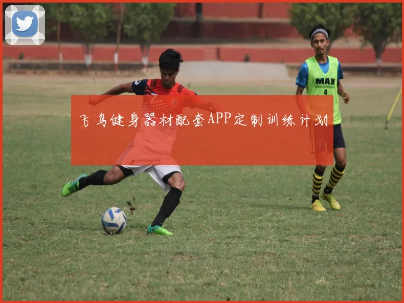 飞鸟健身器材配套APP定制训练计划