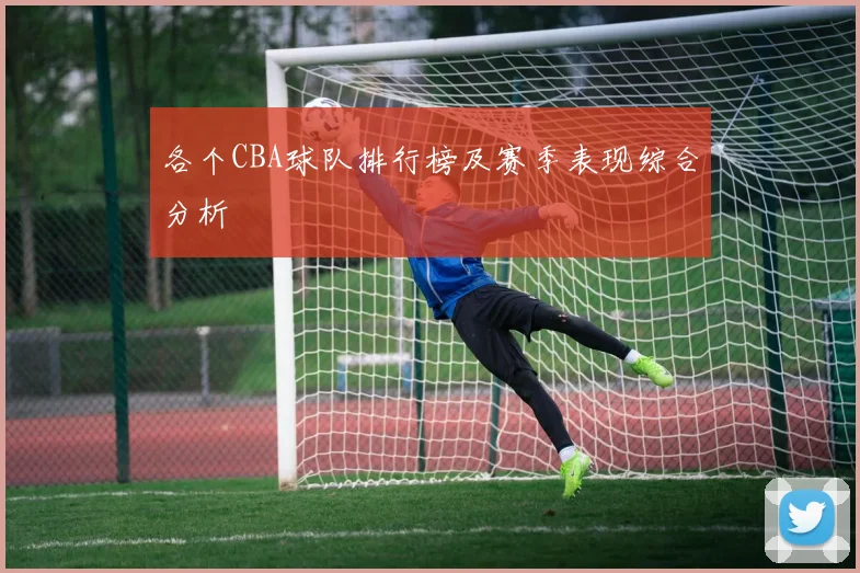 各个CBA球队排行榜及赛季表现综合分析