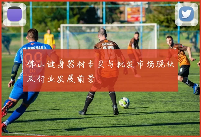 佛山健身器材专卖与批发市场现状及行业发展前景