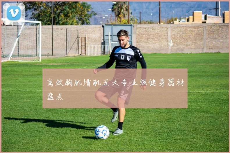 高效胸肌增肌五大专业级健身器材盘点