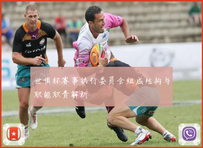 世俱杯赛事执行委员会组成结构与职能职责解析