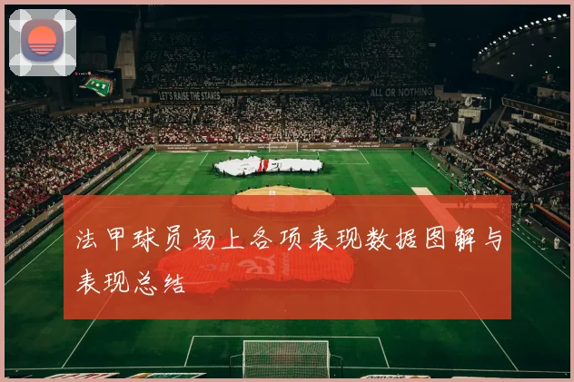 法甲球员场上各项表现数据图解与表现总结
