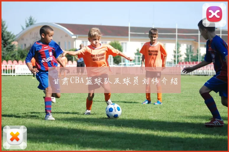 甘肃CBA篮球队及球员刘伟介绍