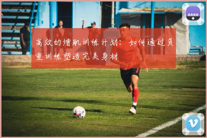 高效的增肌训练计划：如何通过负重训练塑造完美身材