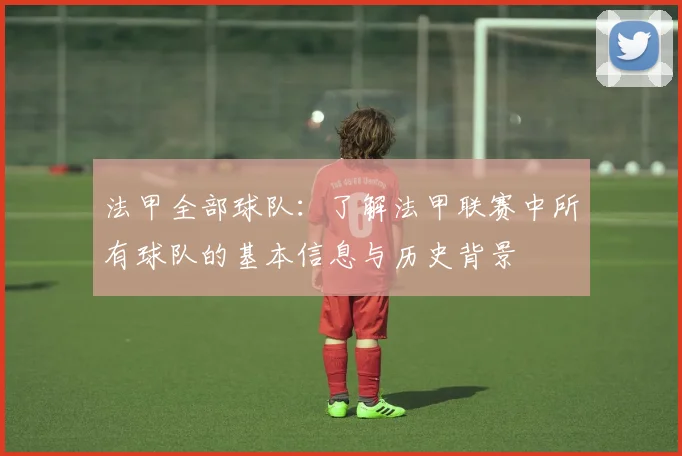 法甲全部球队：了解法甲联赛中所有球队的基本信息与历史背景
