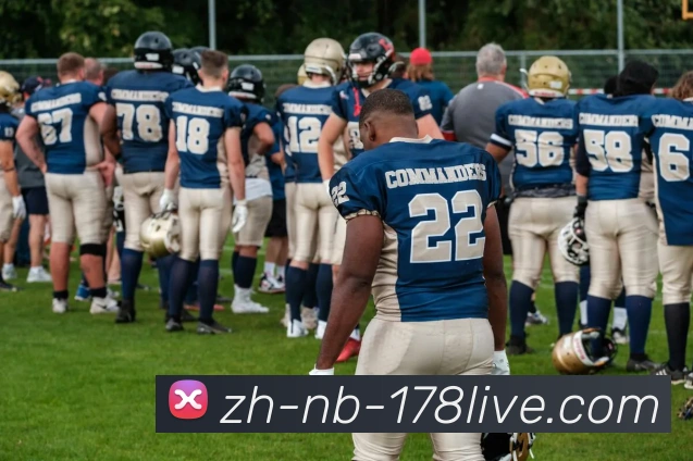 178体育直播品牌故事